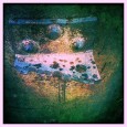 Rust Series #7