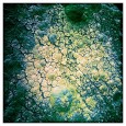 Rust Series #8 (Not Rust, more like Grunge)