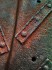 Rust Never Dies