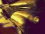 No Rust, No Character
