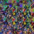 If Mondrian Dropped Acid