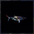 Shark Attack